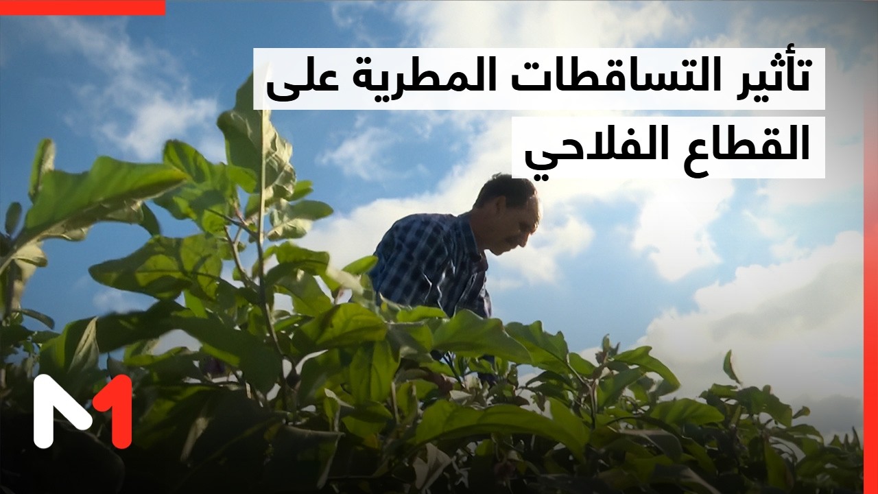 تأثير التساقطات المطرية على القطاع الفلاحي
