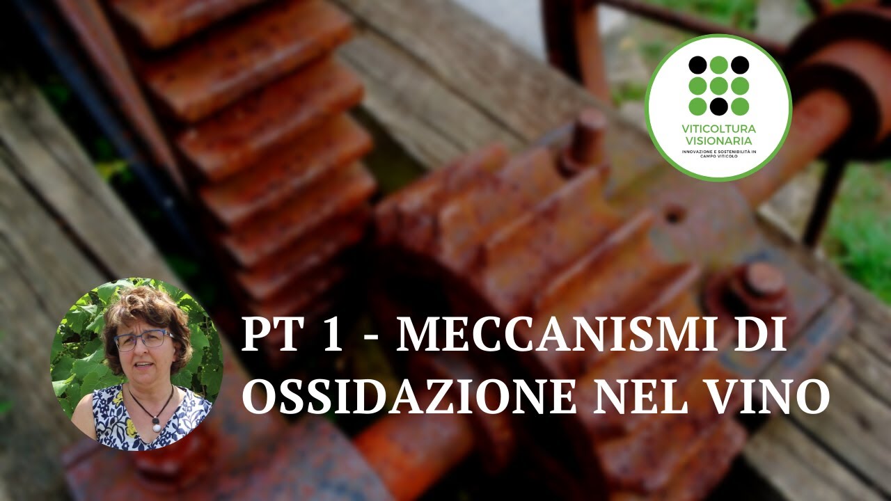 I meccanismi dell'ossidazione nel vino - Parte 1