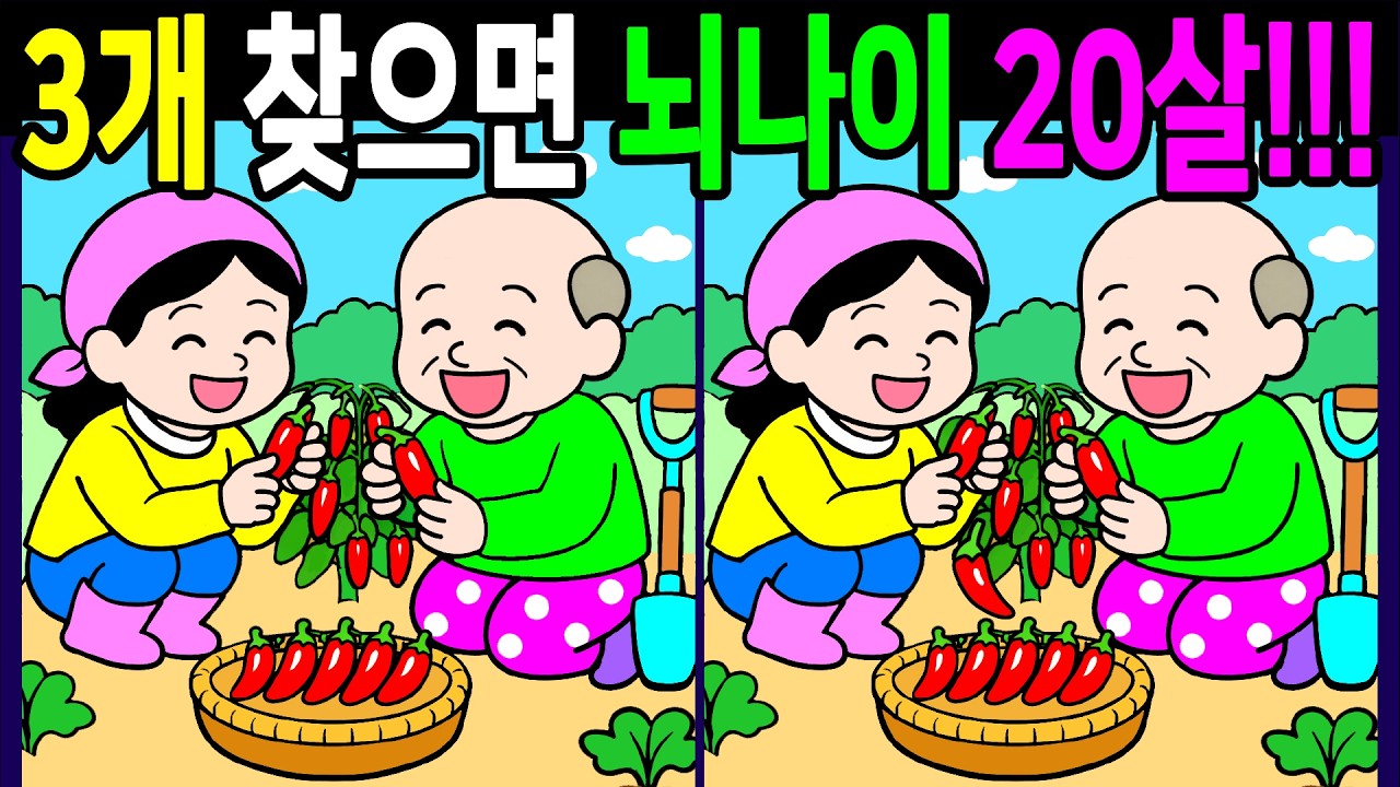 생각보다 은근히 헷갈리는 문제 다풀면 기억력이 좋아지는 다른그림찾기 끝까지 풀게 돼요【 Find Difference 間違い探し】