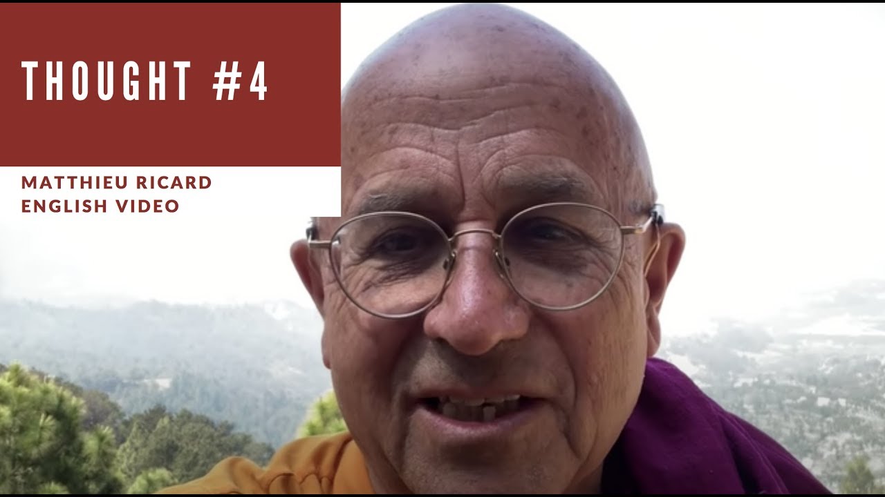Thought #4 - Interdependence - Matthieu Ricard (English)
