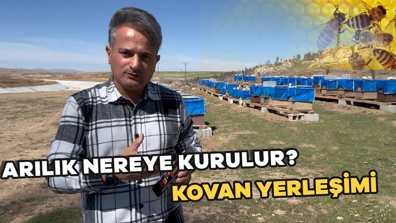 ARILIK NEREYE KURULUR KOVAN YERLEŞİM
