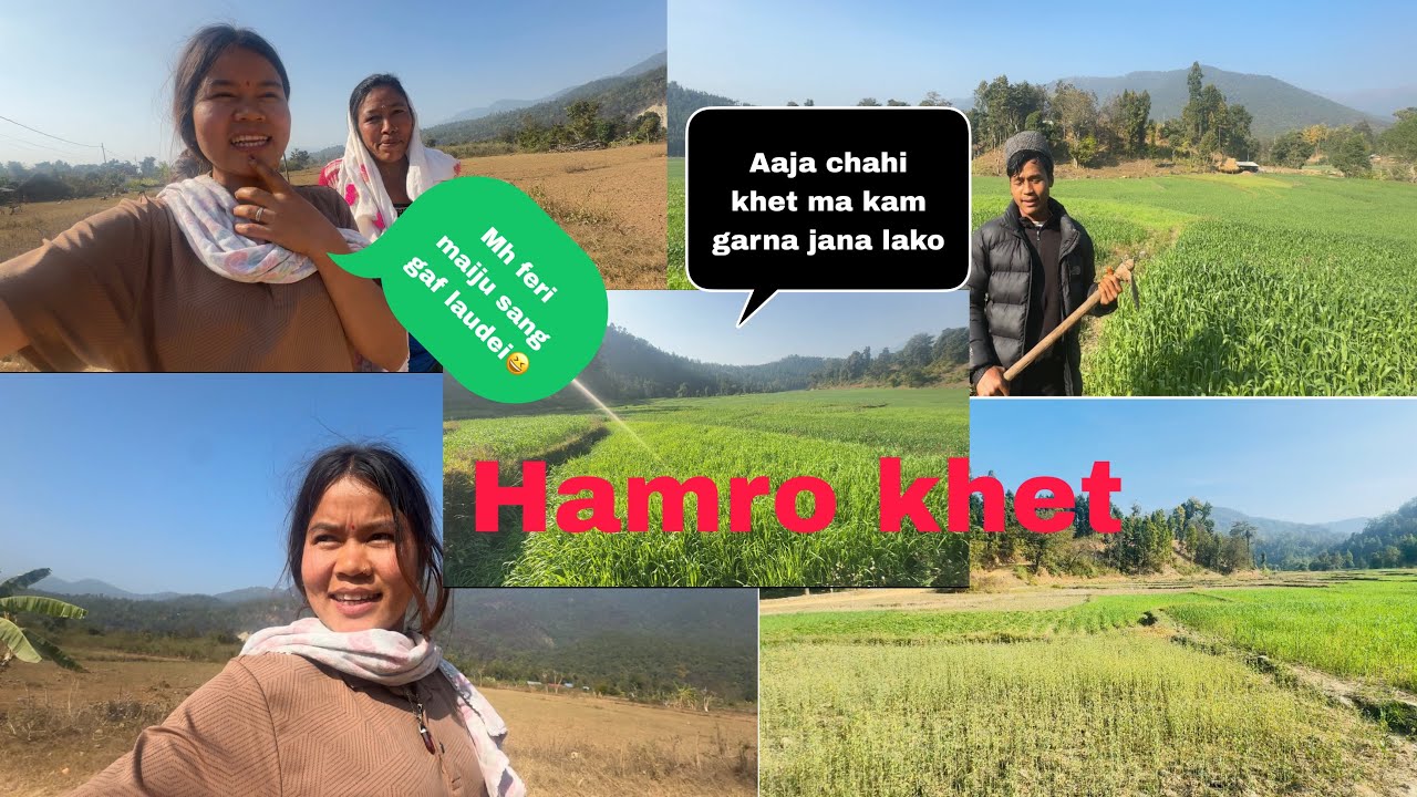 Aaja khet ko kam garna pareo vaner hideko😆🙏