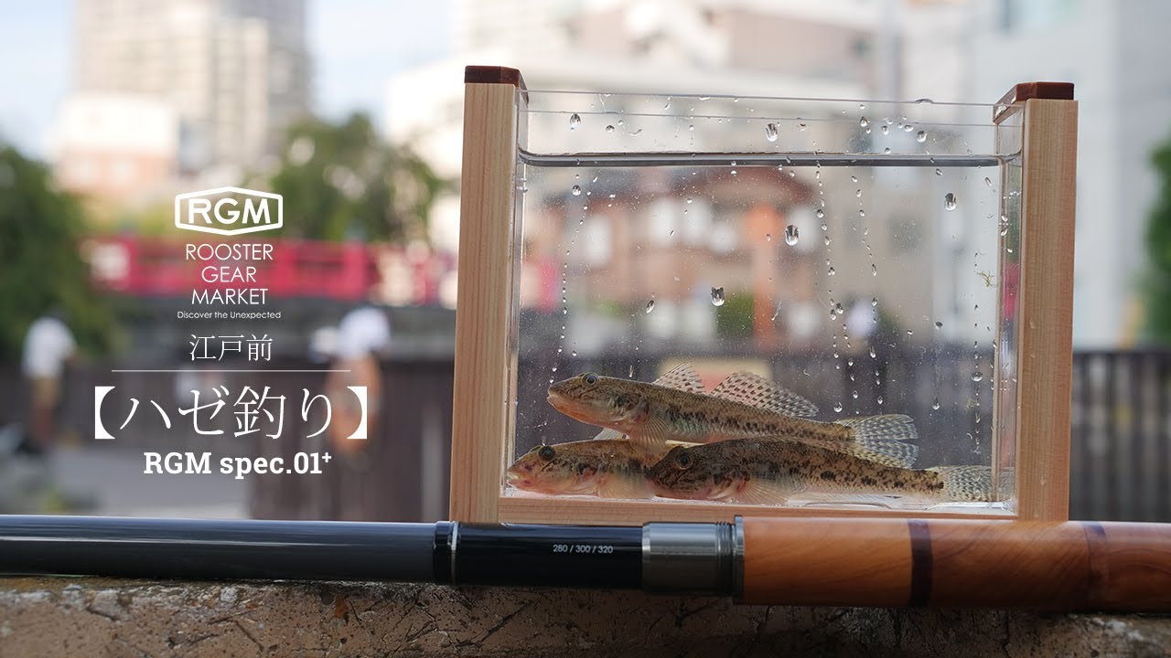 【ハゼ釣り】月島川水門・佃堀  spec.01+