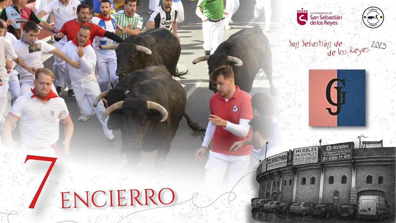 SEPTIMO ENCIERRO de San Sebastián de los Reyes 2025 | Toros de Hnos. García Jimenez 