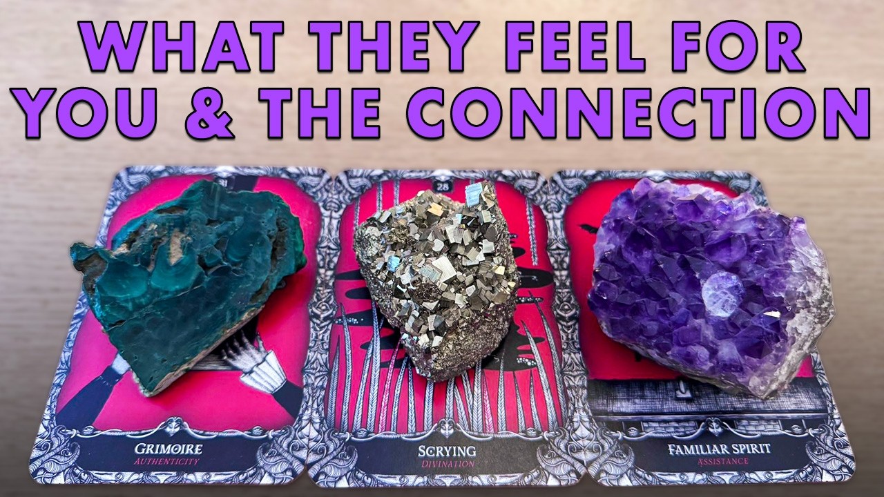 🔮 What They Feel for You & The Connection | Their Actions + Intentions | Pick A Card Tarot Reading