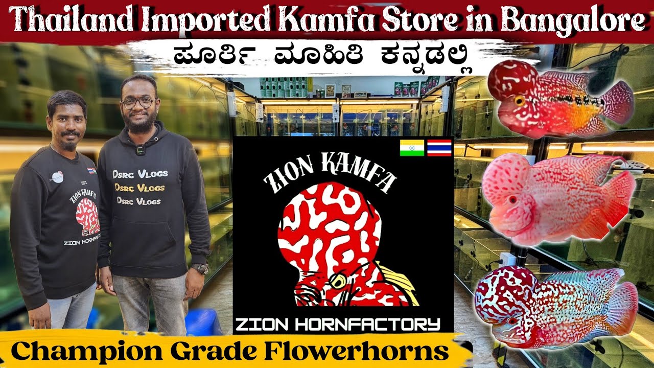 Thailand Imported Kamfa store in Bangalore 💥| Zion Horn factory | Champion grade Flowerhorns 🇫🇷🔥