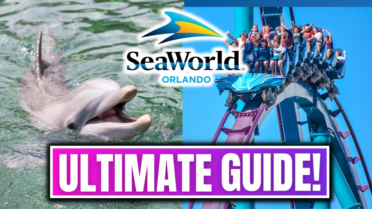 Seaworld Orlando — все, что вам нужно знать о парке!