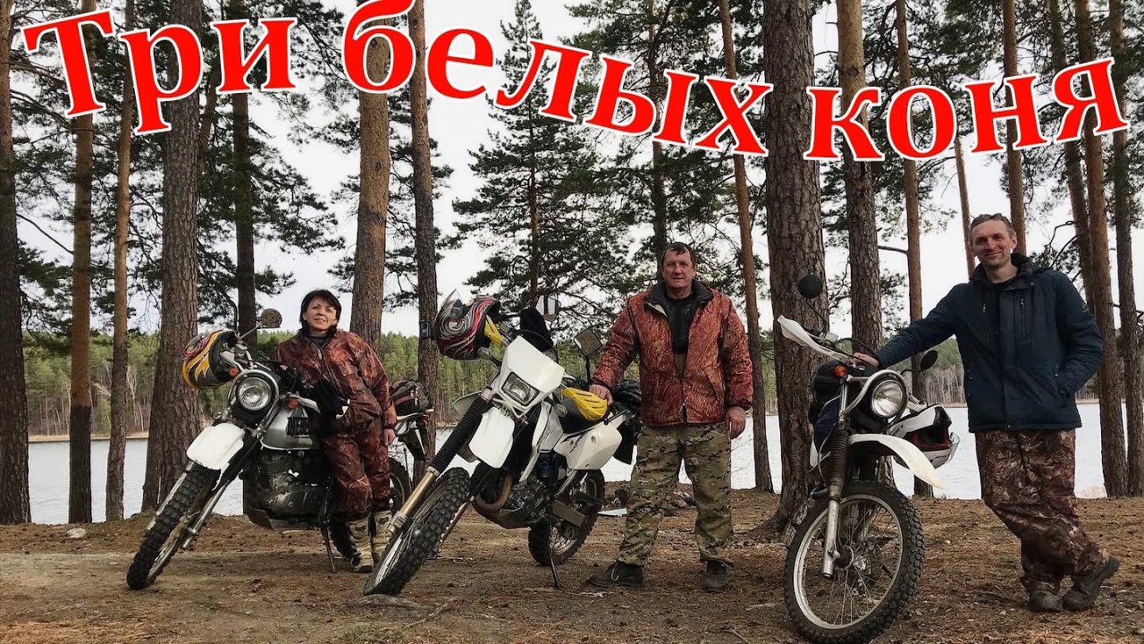 Три белых коня! Или дела Сузучьи. 01.05.2022 г.