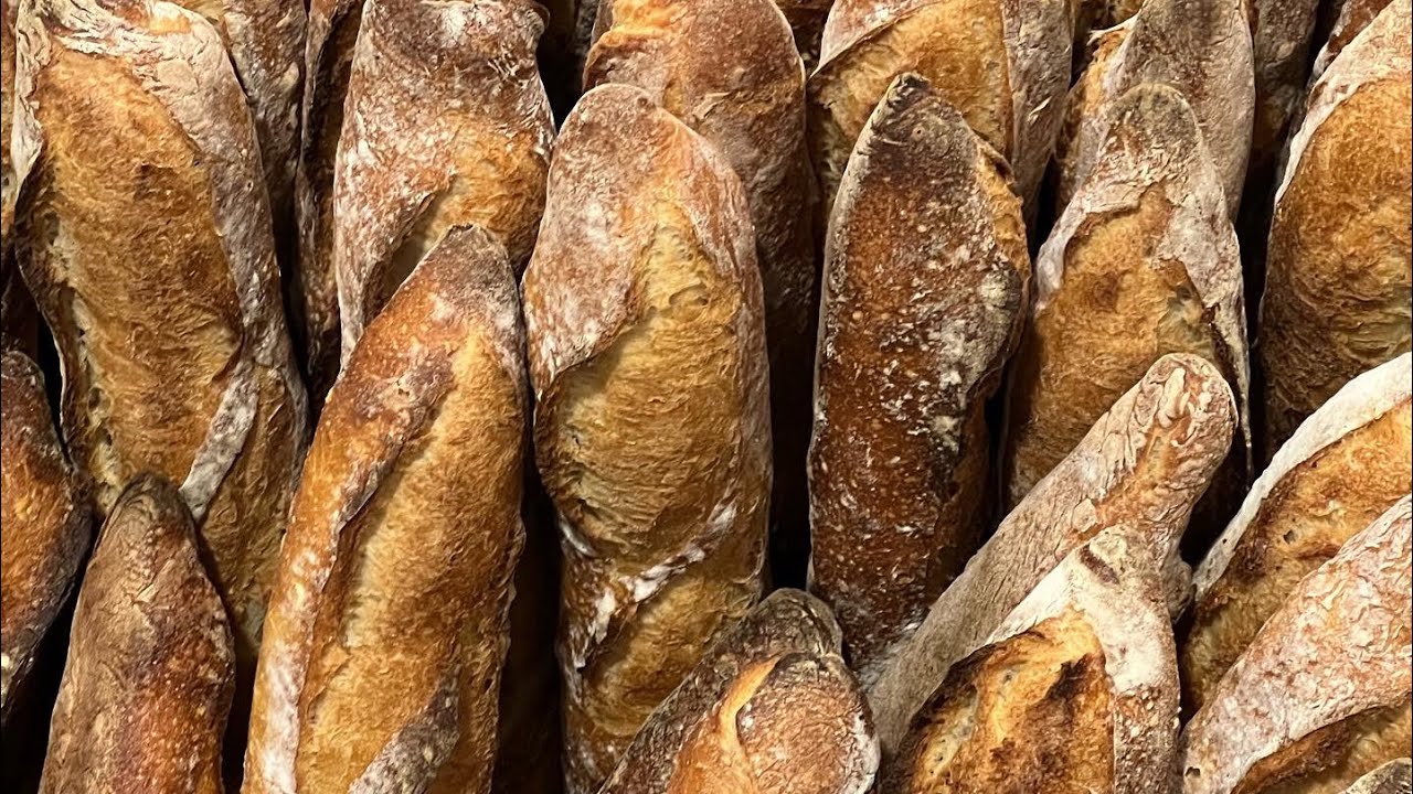 따팡TAFFIN 바게트 만드는 과정 Making baguette tradition/ french traditional baguette