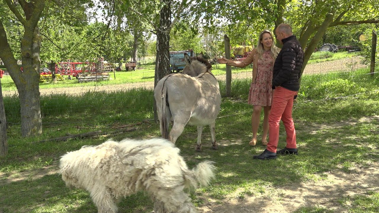 Gazdák, támogatások, irányváltások - évértékelés az agrárium kulisszái mögött
