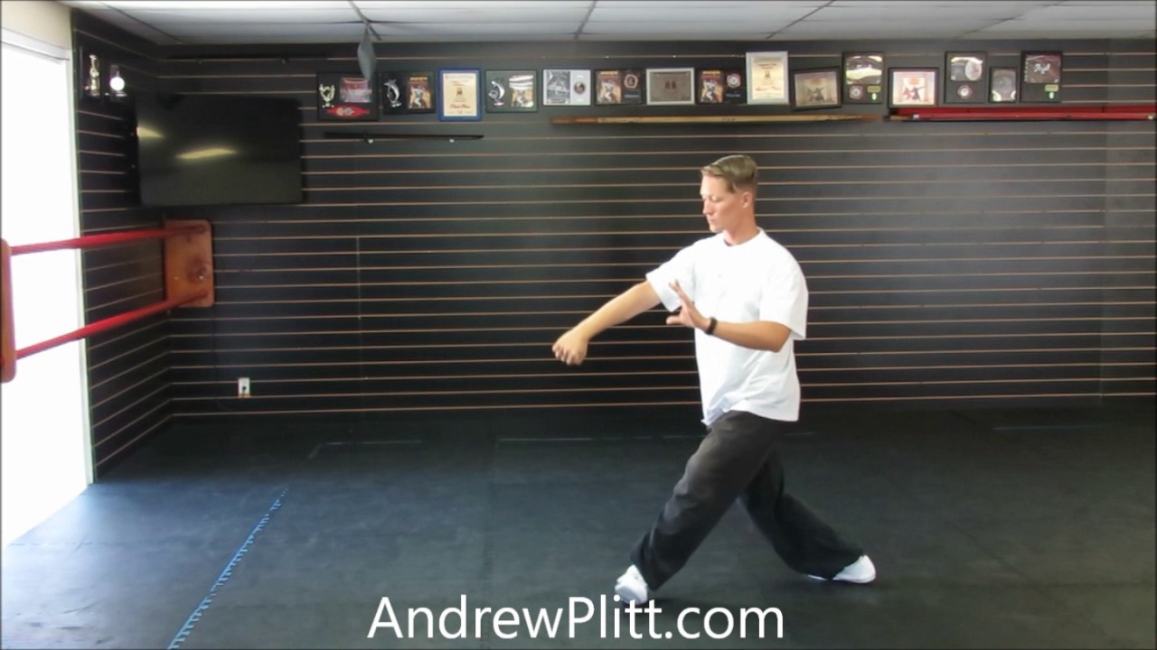 Yang Tai Chi 108 Form ~ Part 1 (rear view)