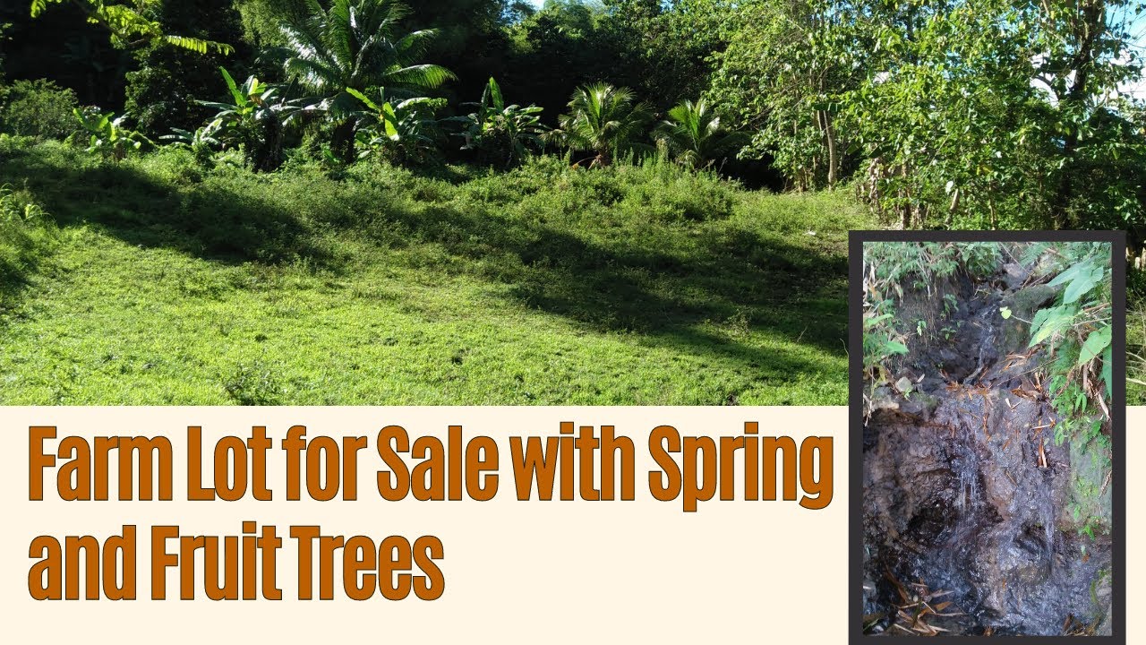 2 Hectares Farm Lot for Sale