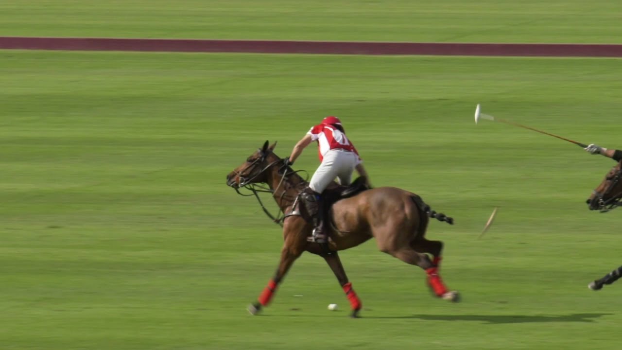 Royal Windsor BP Polo vs Tchogan