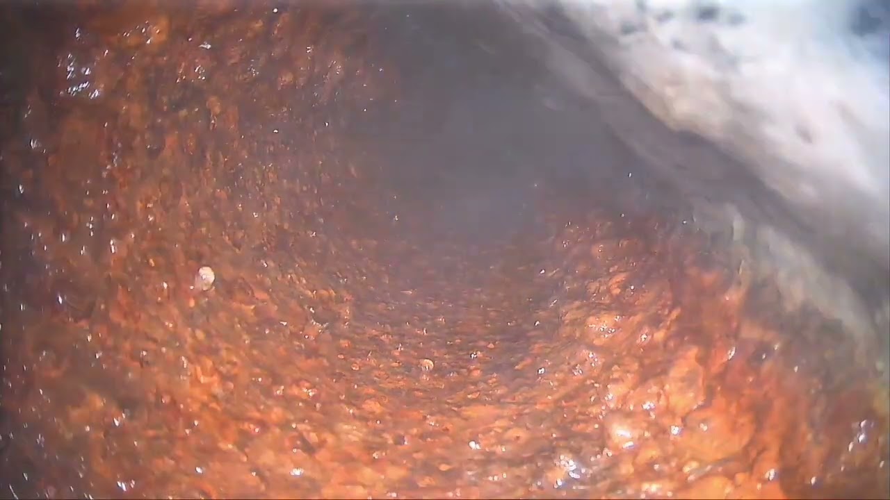 42 Hialeah Ave Sewer Scope