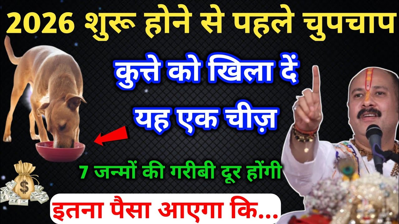 2026 नए साल पर चुपचाप कुत्ते को खिला दो यह एक चीज, आपकी 7 जन्मों की गरीबी दूर होगी..