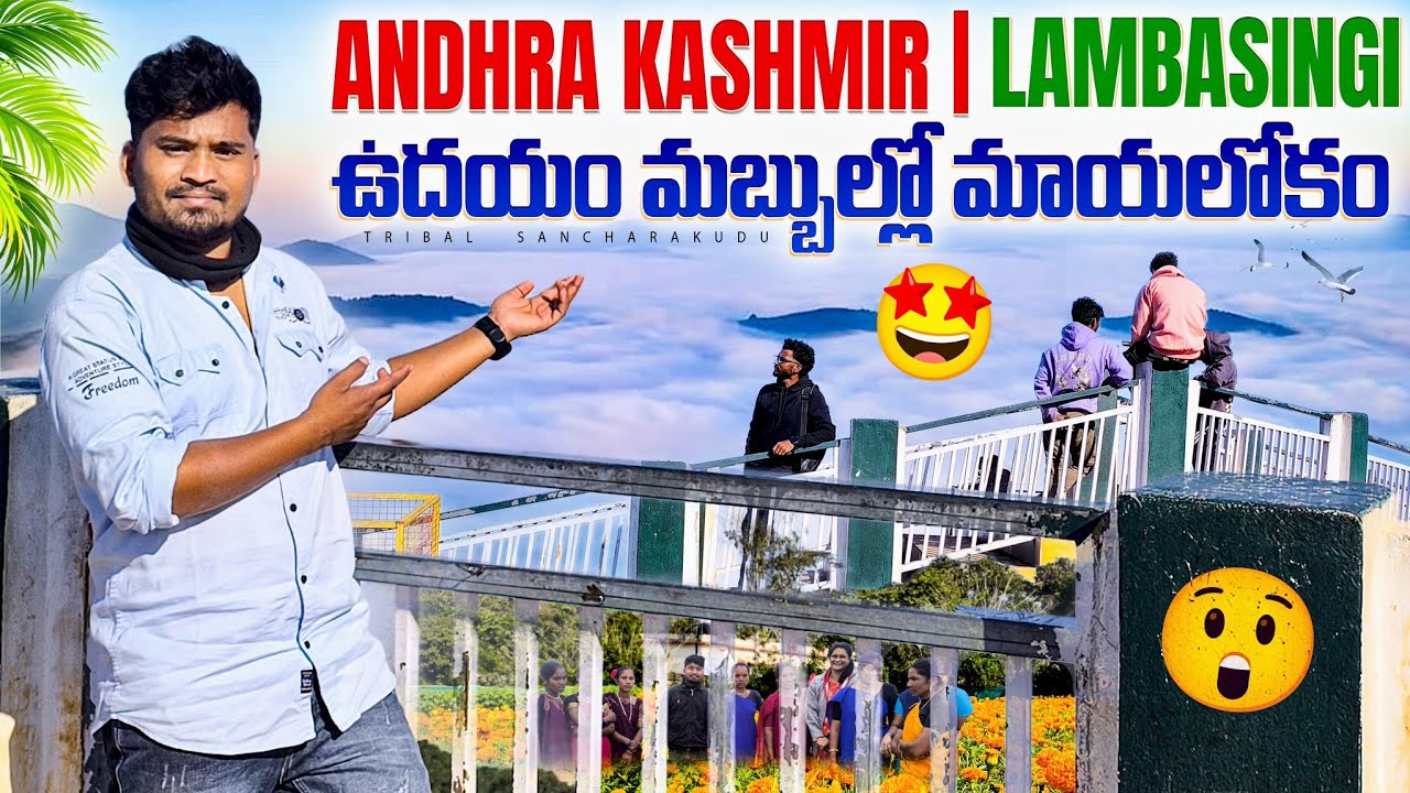 ఒక్కసారి చూస్తే ప్రేమలో పడిపోతారు ❤️ | Lambasingi Andhra Kashmir☁️❤️👌|@Tribalsancharakudu