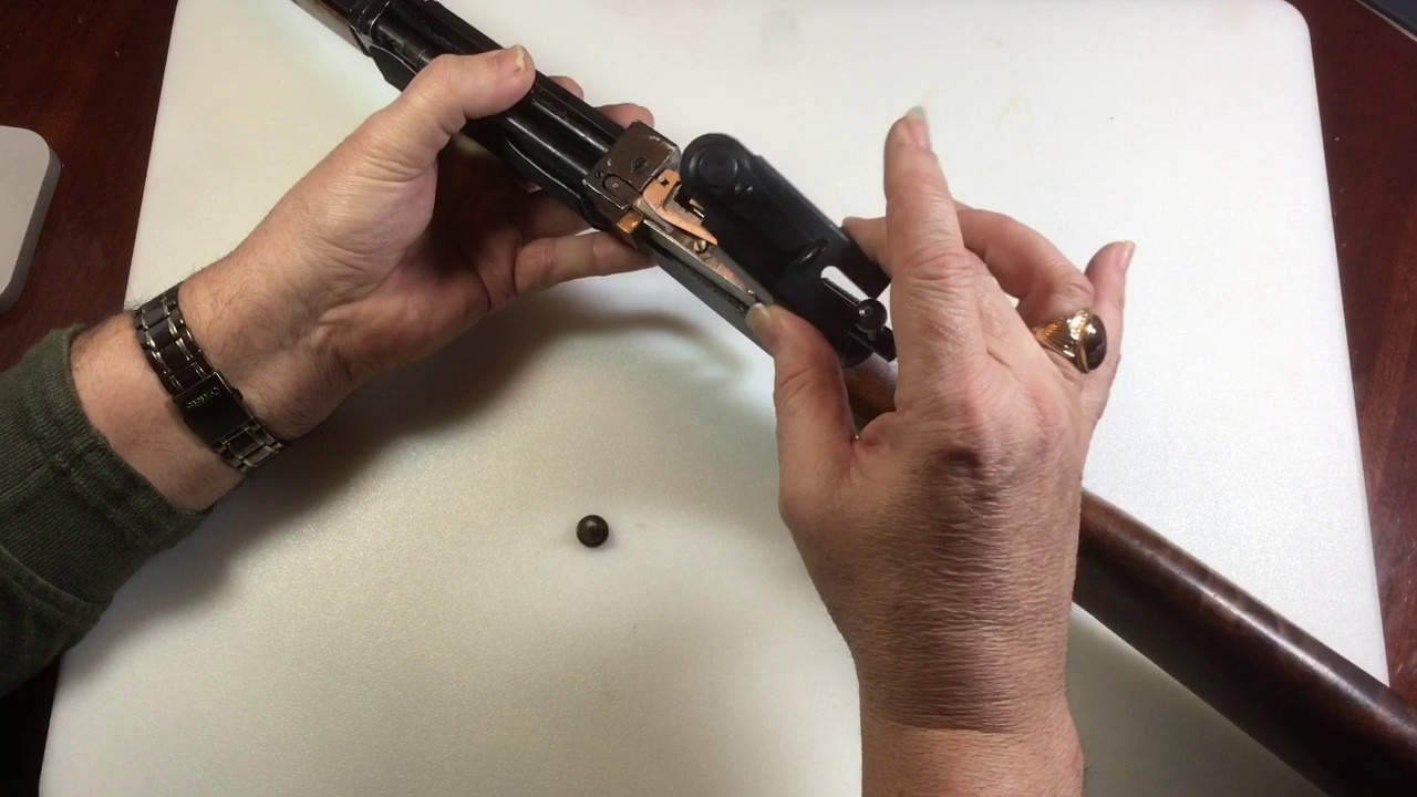 The Crosman 102 Air Rifle