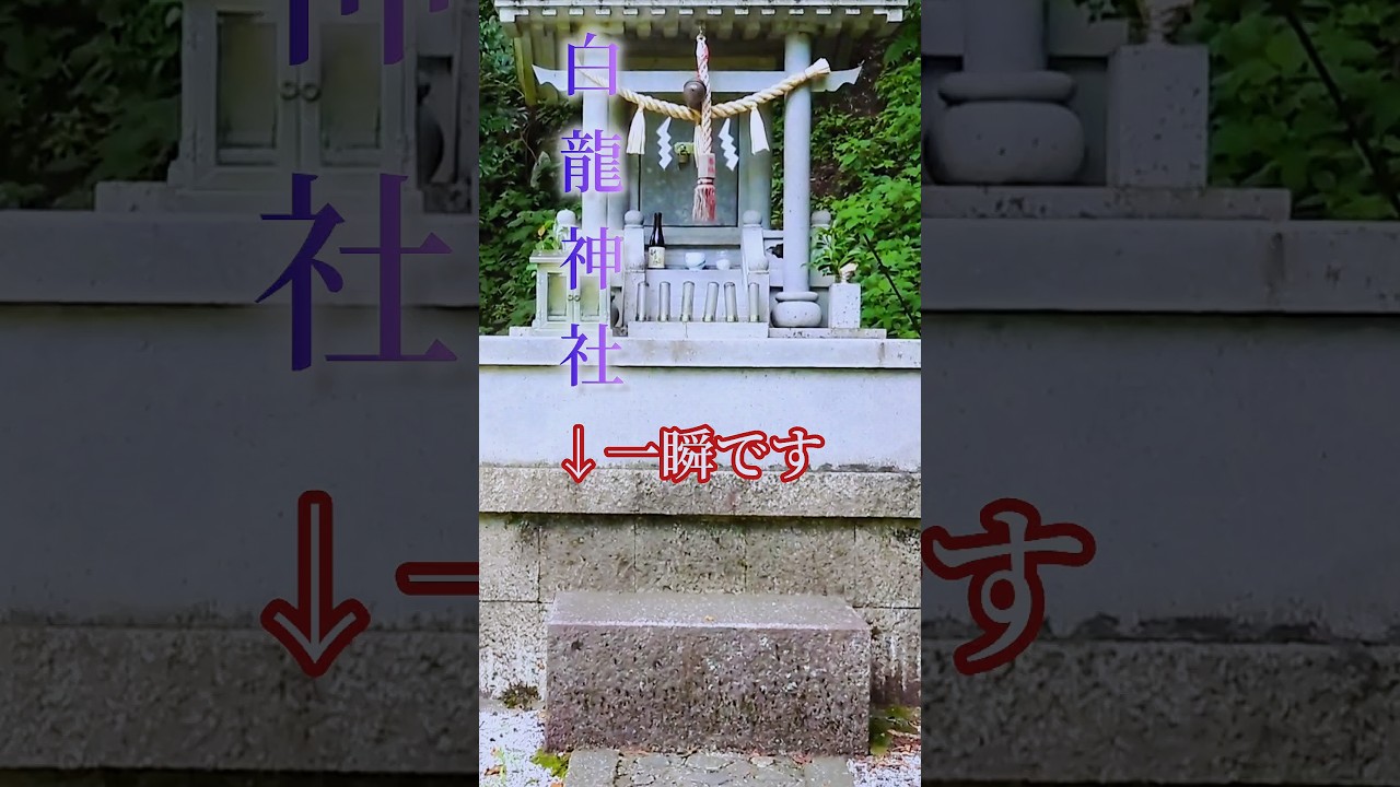 白龍神社の崇高神光