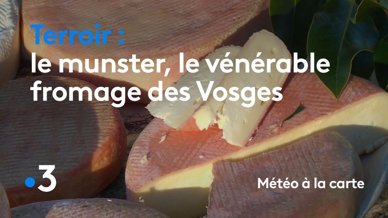 Le munster, le vénérable fromage des Vosges - Météo à la carte
