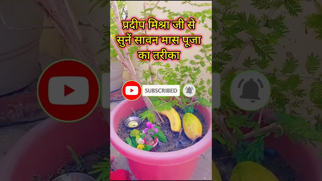 सावन में रोज शिव जी की पूजा कैसे करें ! Sawan daily Shiv poojan vidhi ! #pradeepmishrajikesawanupay
