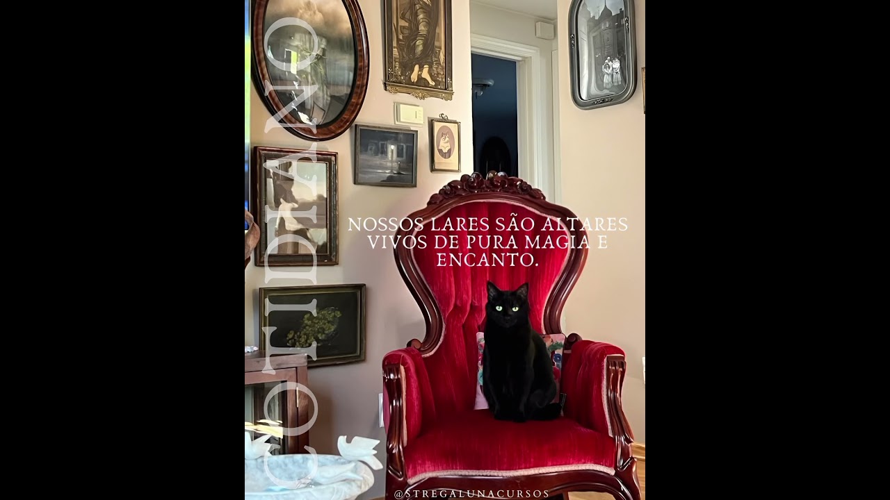 A magia está em toda a parte!