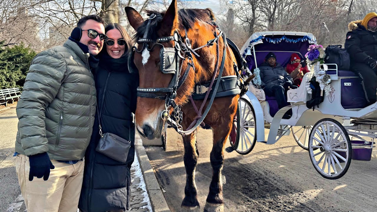 NYC Vlog 🎄(Central Park Horse Carriage, Nutcracker, Overstory) 