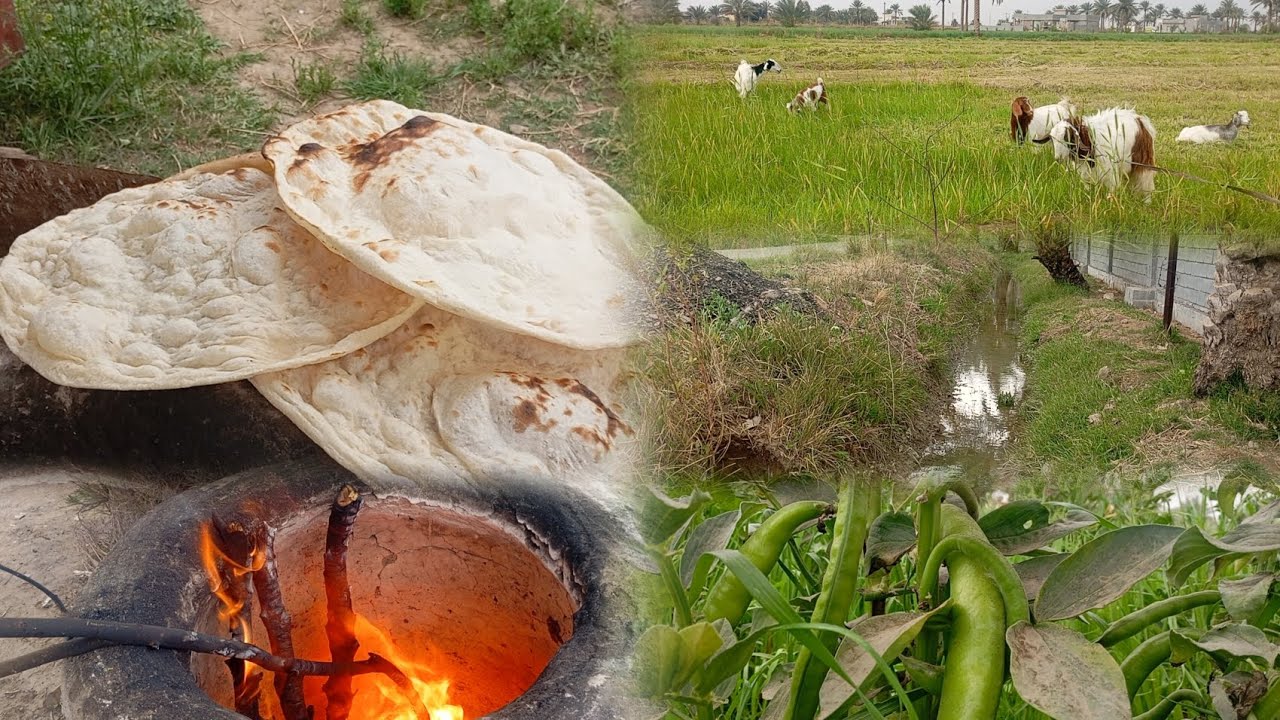 اجواء جميله في الريف #مع خبز بل تنور الطين 