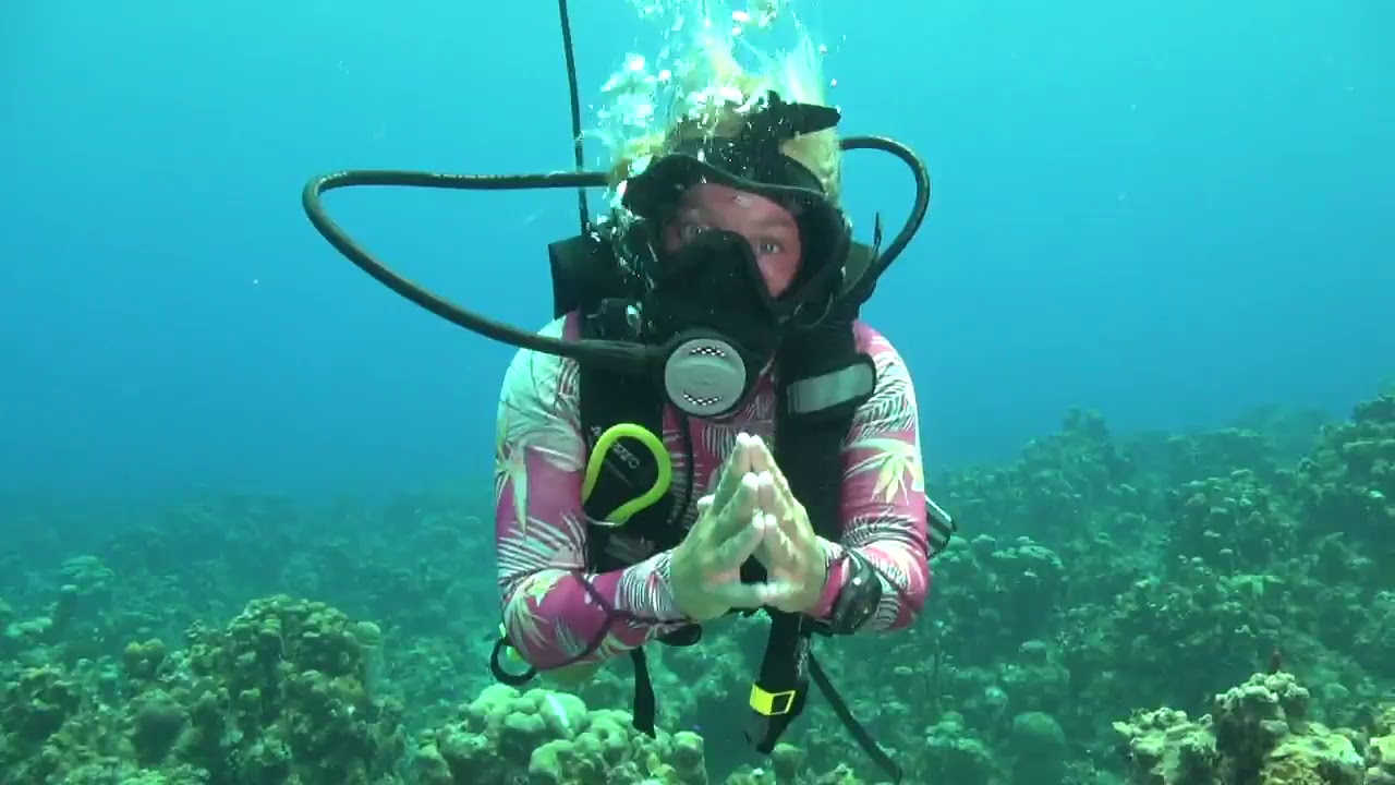 diveLIVE - Only dive - June 11th, 2018