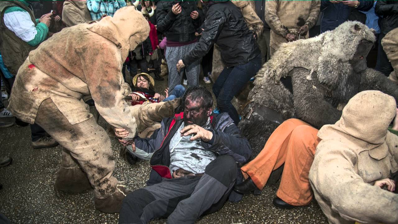 O Oso de Salcedo 2016