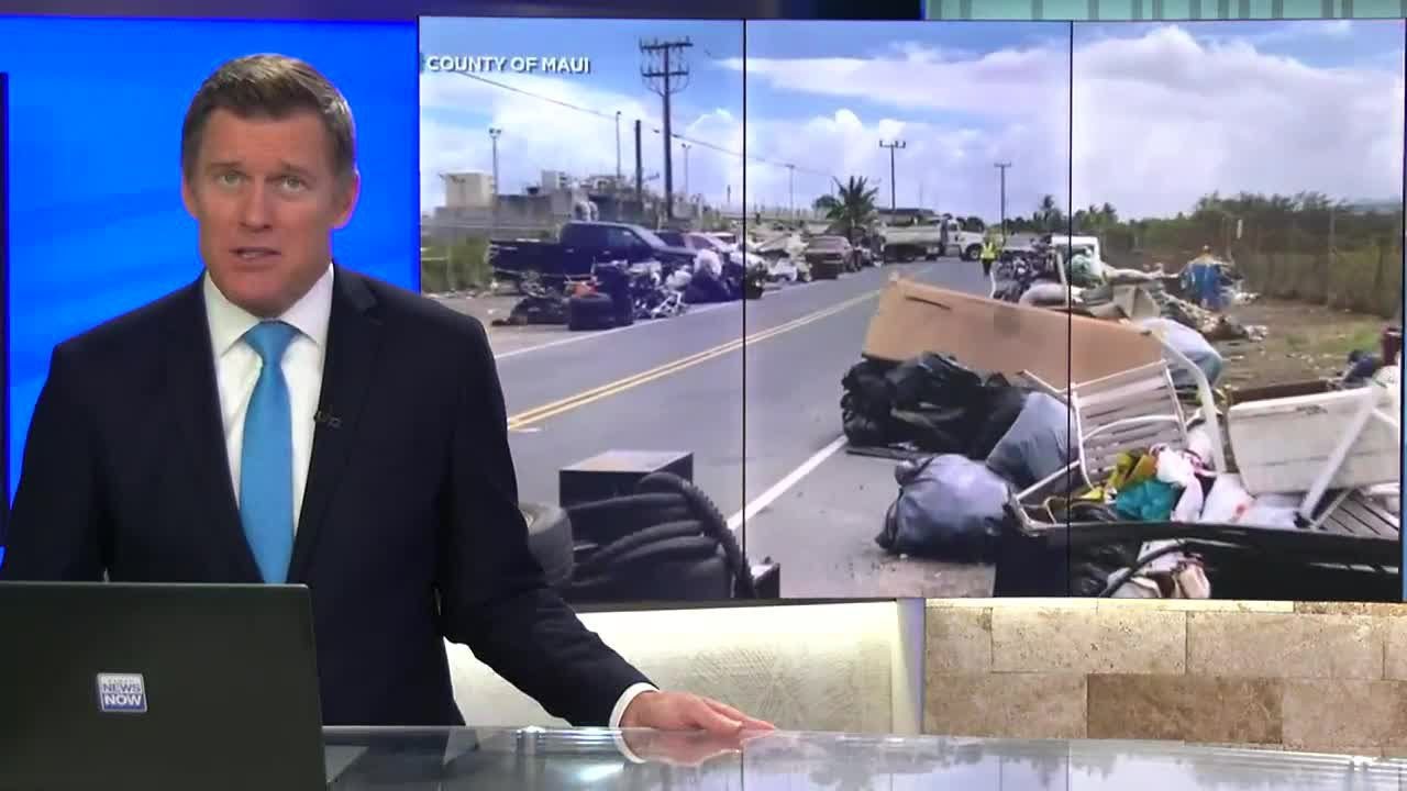 Delay in Maui's overnight homeless parking project stirs outrage in advocates