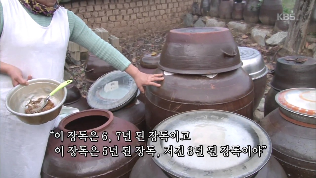 인간극장 - 어머니에게 된장 장독 공부를 배우는 지은 씨