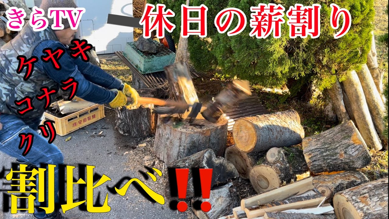 【薪割り】グレンスフォシュとスチール斧でカエデ、楢、欅、栗を割ってみた‼︎ただ割るだけ‼︎