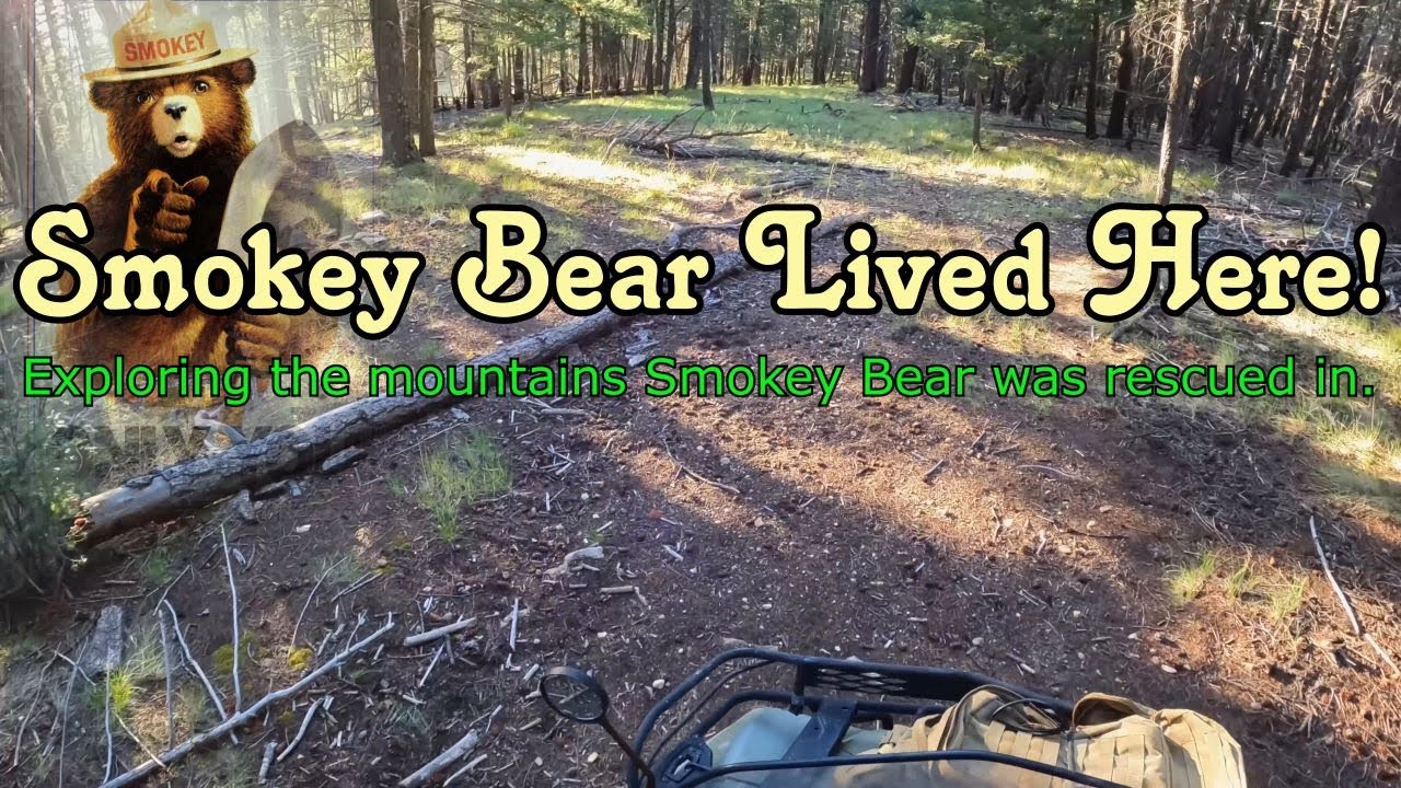 4 Wheeling in Lincoln National Forest, NM! #quad #atv #forestlife 