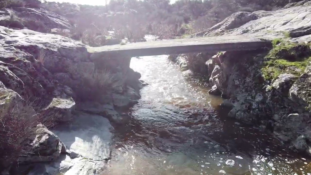 Ruta de las Migas 2026