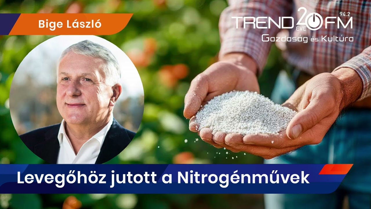 Bige László: ez ostobaság, hogy csődközeli állapotban voltunk | Trend FM