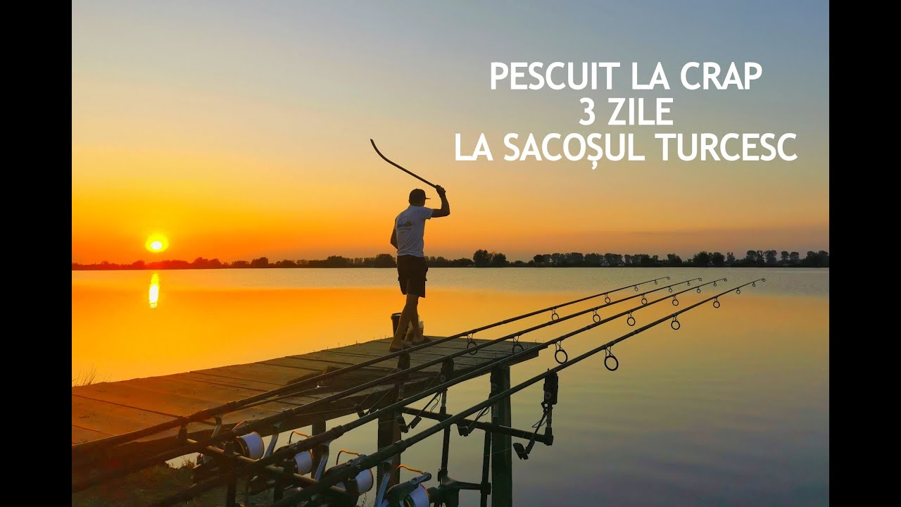Pescuit LA CRAP LA SACOSUL TURCESC - 3 zile de pescuit la crap.