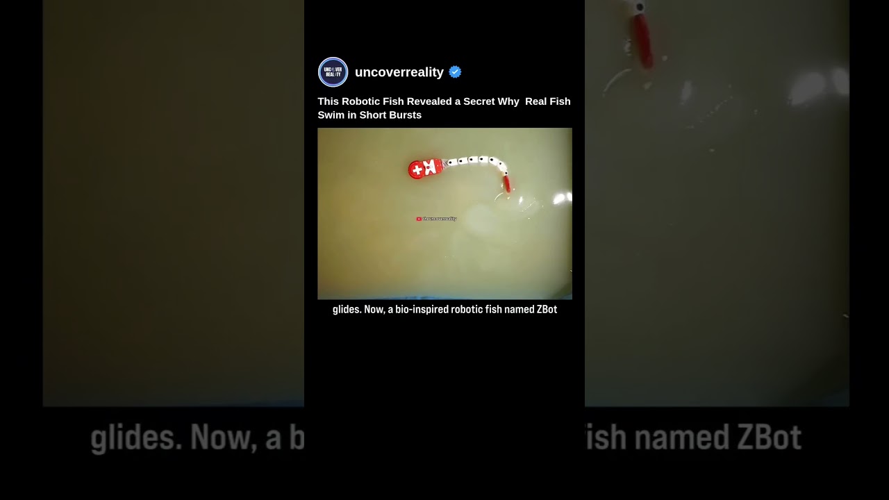 This Robotic Fish Revealed a Secret Why Real Fish Swim in Short Bursts #robot #shorts #robotics