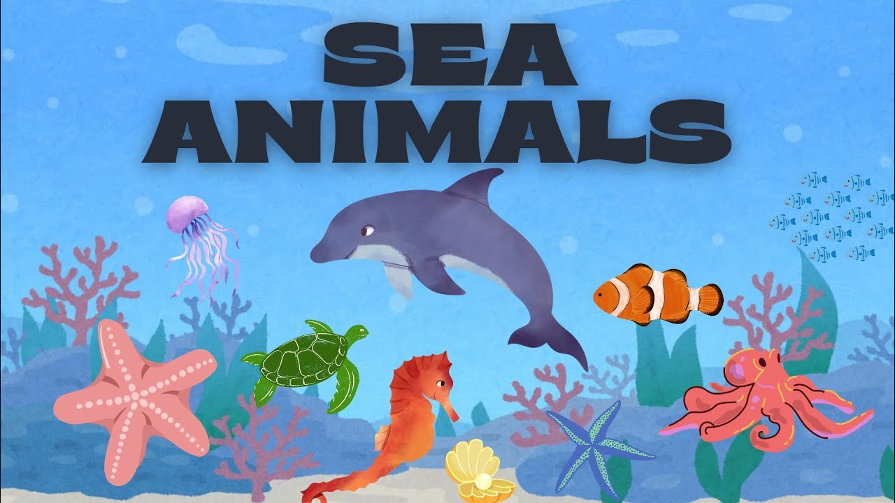 Learn Sea Animals Name | Fun Learning Video For Kids | Fun Vizz