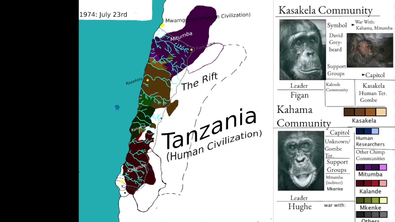 the Gombe War First Ape War Recorded