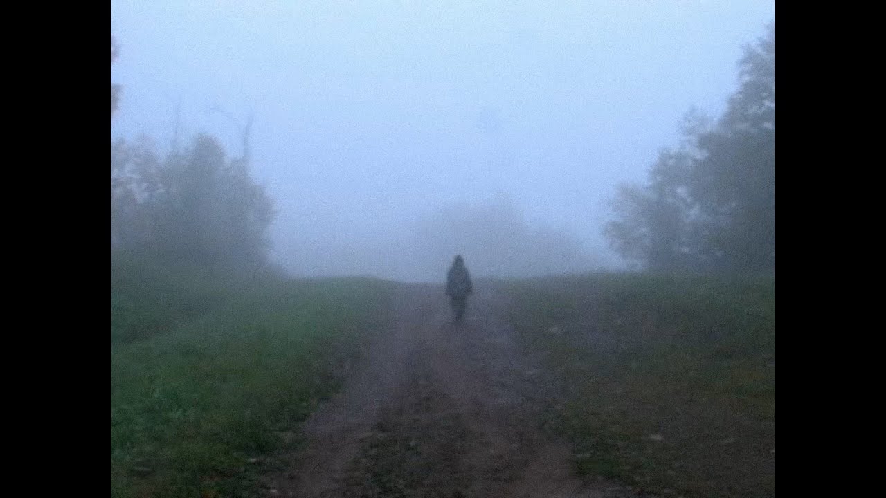 ✦ free sad acoustic indie x pinegrove type beat 