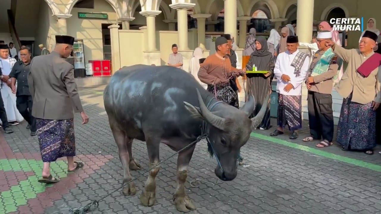 SUASANA IDUL ADHA DI MASJID AGUNG KUDUS DAN TRADISI KURBAN KERBAU