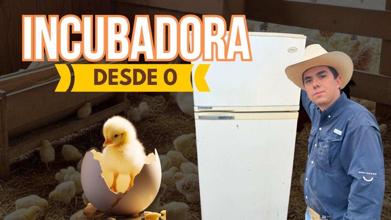 ASÍ SE HACE UNA INCUBADORA CON MATERIAL RECICLADO 