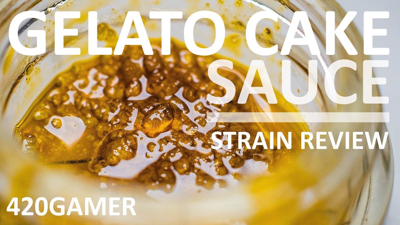 Gelato Cake Strain Review 🍰 - Sauce - Quail Extracts