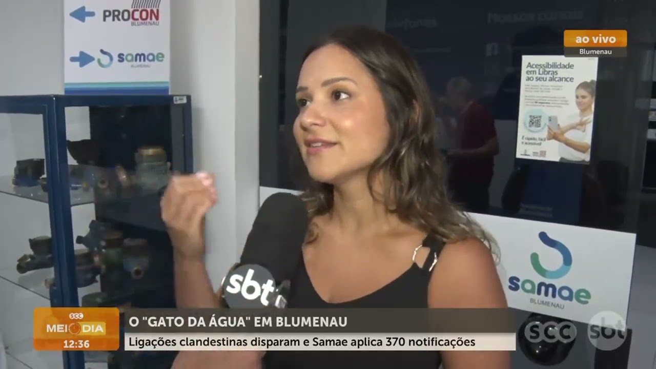 “Gato da água” dispara em Blumenau e gera 370 notificações | Cotidiano | SCC Meio-Dia