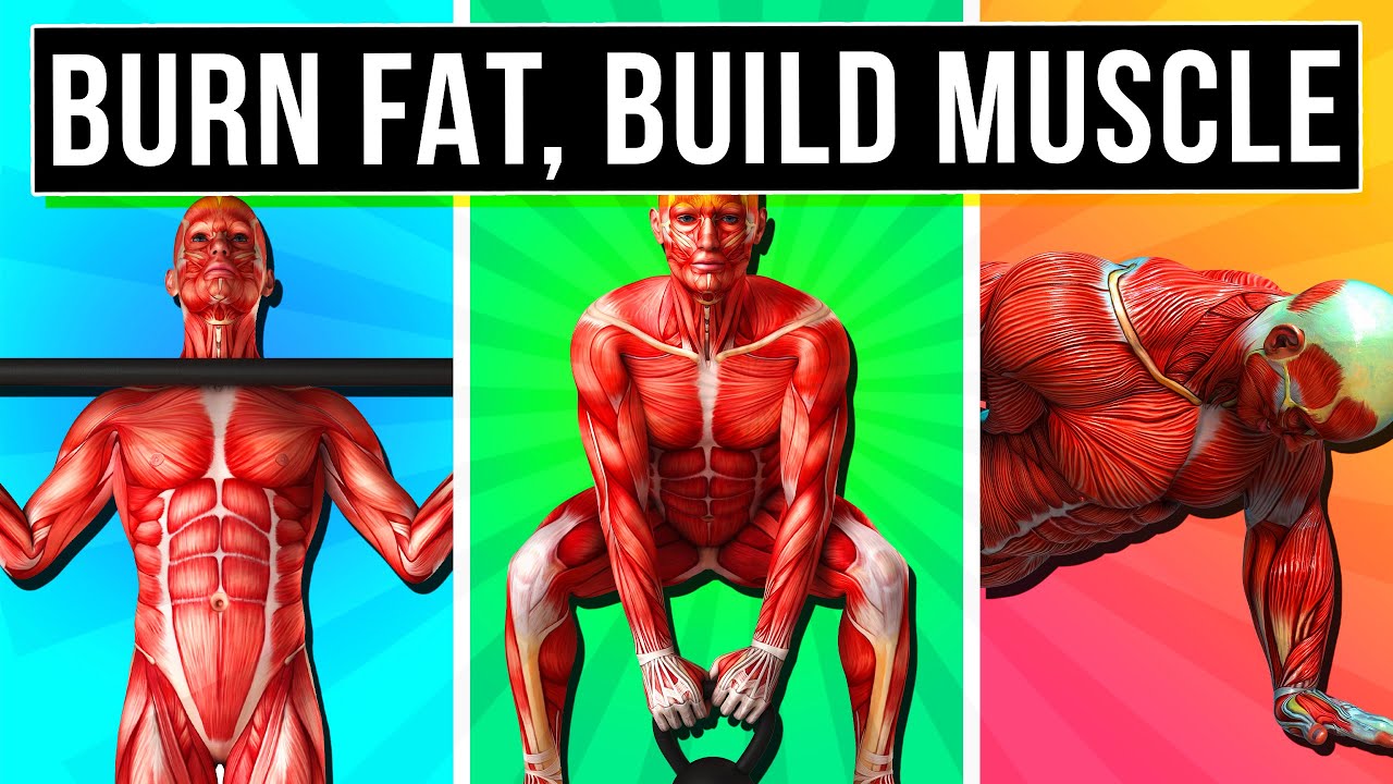 The 7 BEST Workout Routines For Men That Build Muscle & Burn Fat Fast!