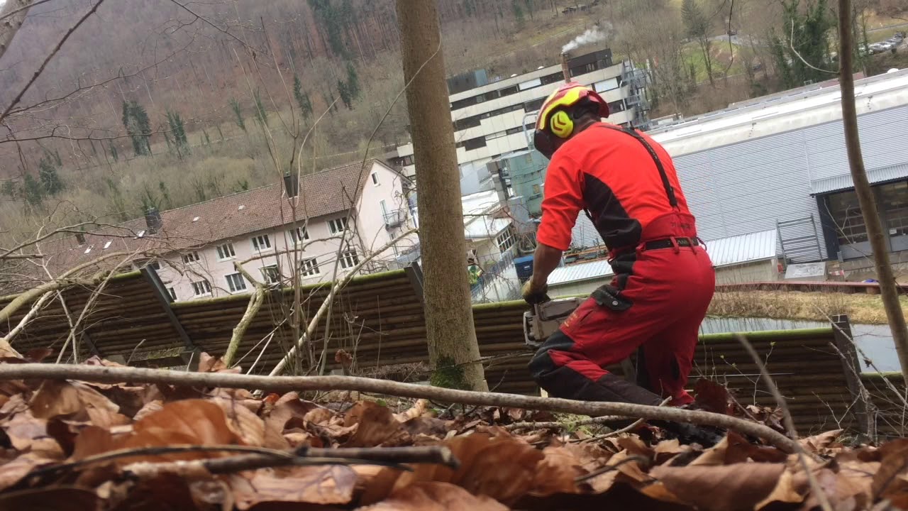 Ein nicht ganz alltäglicher Hieb. Nur was für Profis 🤟🏻