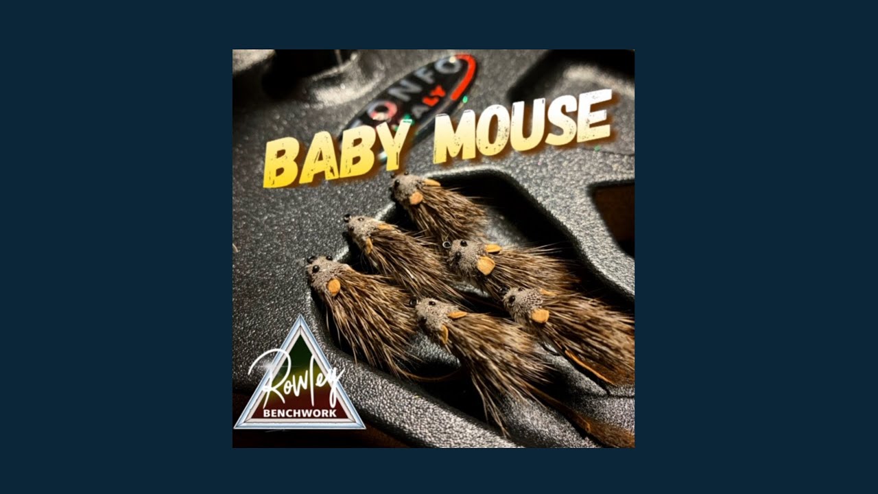 Baby Mouse