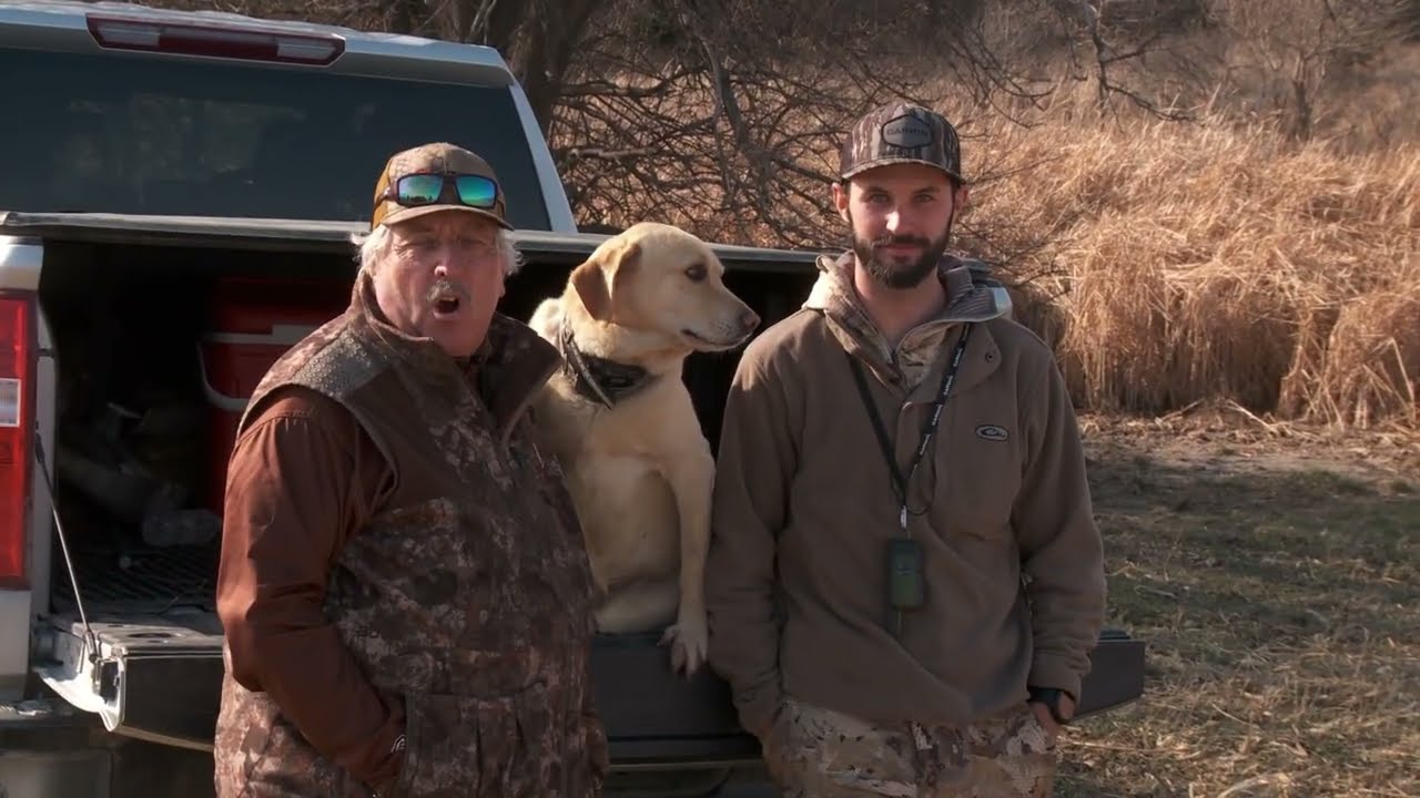 Training a Sensitive Retriever: E-Collar Tips for Low-Stimulation Dogs