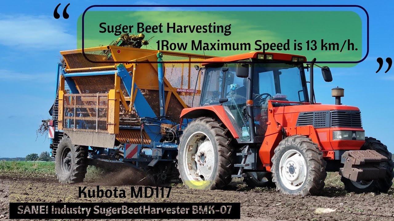 【Drone View】Suger Beet Harvesting | Kubota MD117 + SANEI Industry SugerBeet Harvester BMK-07【4K】