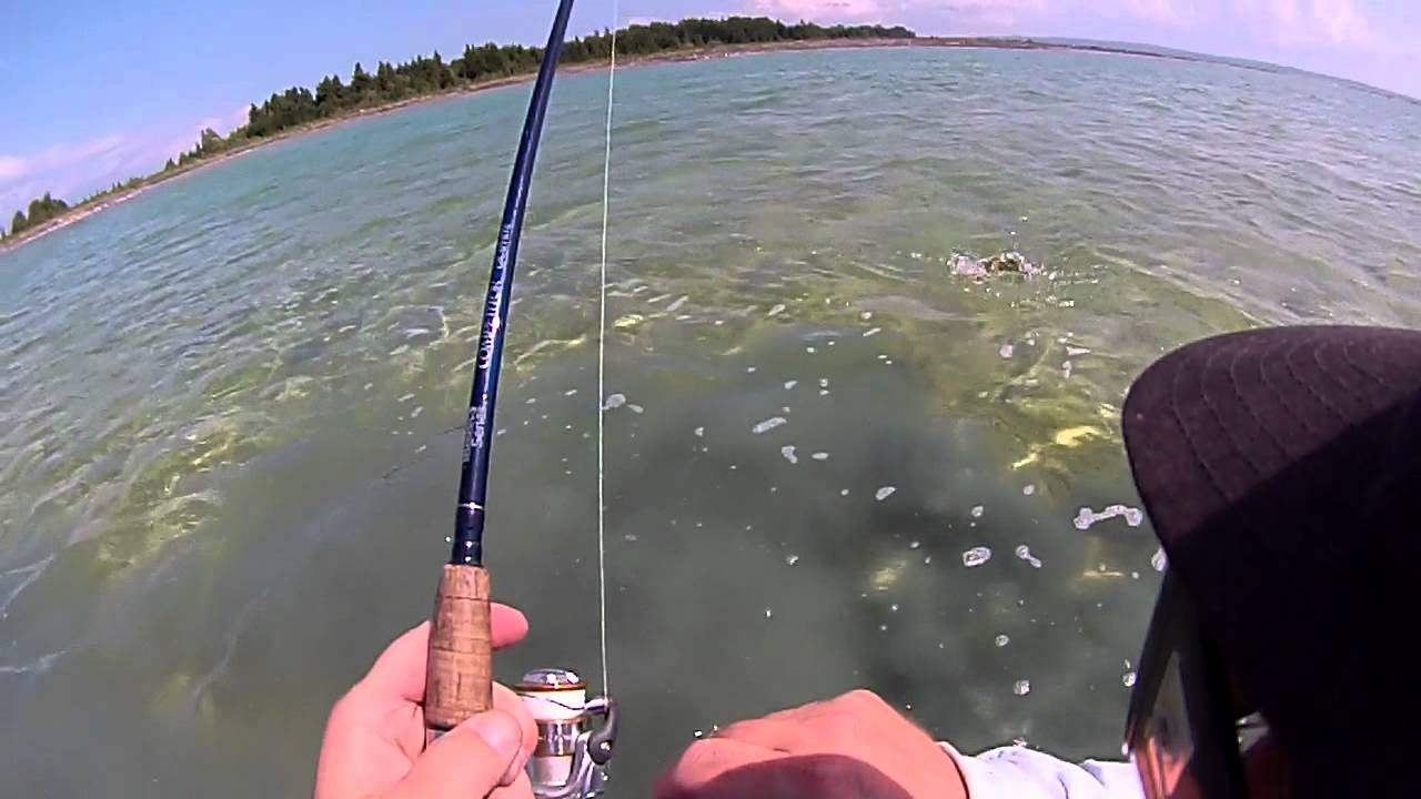 Smallies on the Rocks-Barbless hooks